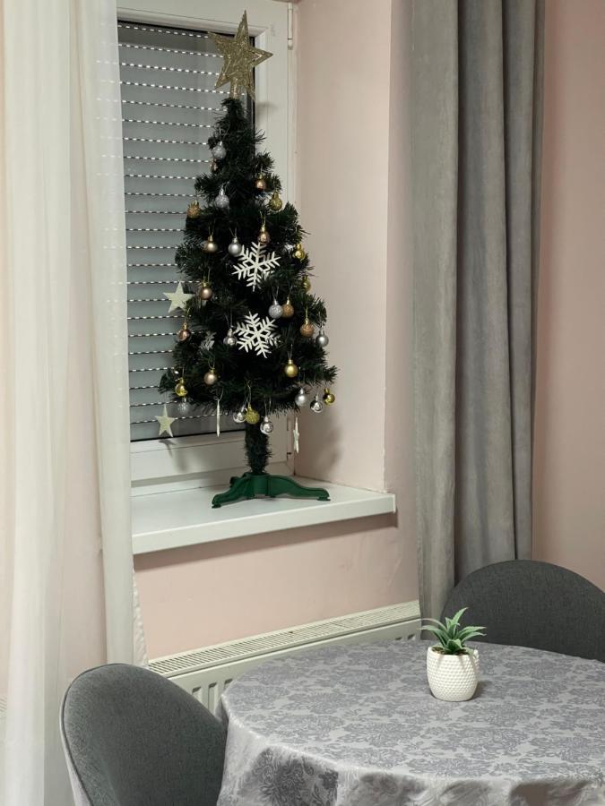 Apartment Cactus 021 诺威萨 外观 照片